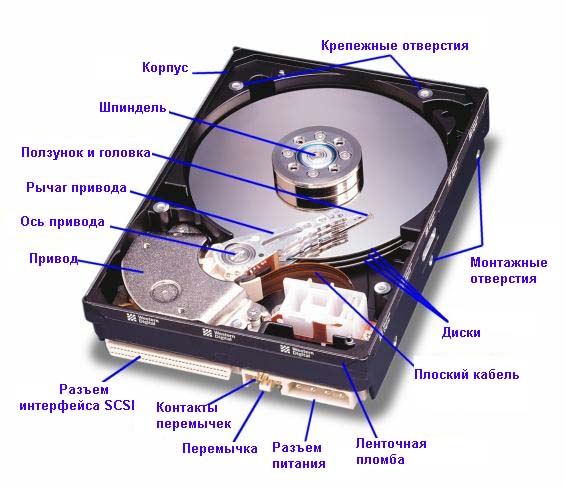 Что такое винчестер или жесткий диск в компьютере