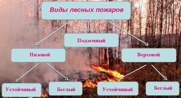 Верховые низовые подземные. Виды лесных пожаров. Лесные пожары схема. Классификация природных пожаров. Классификация причин лесных пожаров.
