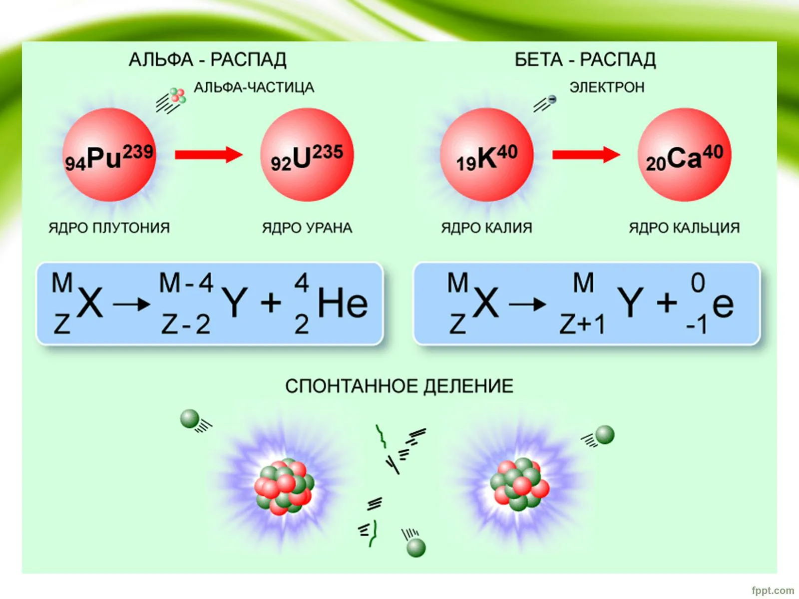 Типы радиоактивного распада презентация