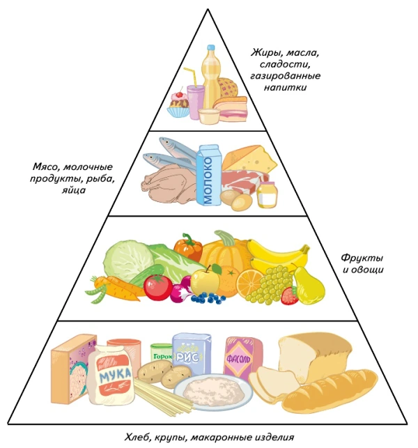 Питание 5 класс. Макаронные, изделия, хлеб пищевая пирамида. Пирамида жиров углеводов. Технология 5 класс физиология питания пирамида. На рис. 4.1 представлена пищевая пирамида для беременных.